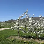 Apfelhof - Wielath Apartman Salem