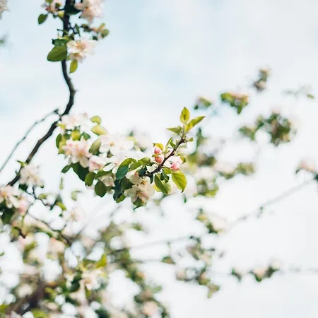 Apartamento Apfelhof - Wielath Salem (Baden-Wurttemberg)