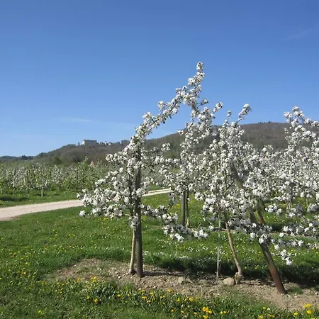 Apfelhof - Wielath Apartmán Salem (Baden-Wurttemberg)